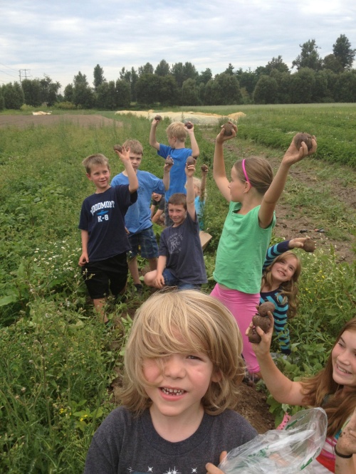 Farm Kids digging digging potatoes!