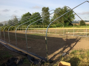 The new greenhouse is nearly done. It just needs the skin and end walls. So close! 
